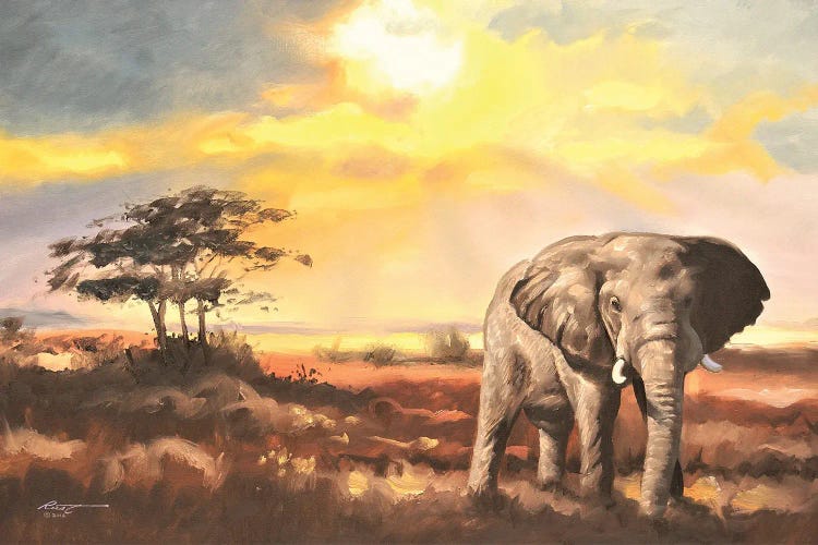 Elephant In The Sahara Desert