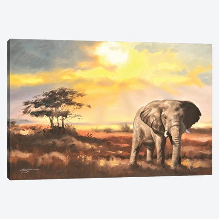 Elephant In The Sahara Desert Canvas Print #RSR243} by D. "Rusty" Rust Art Print