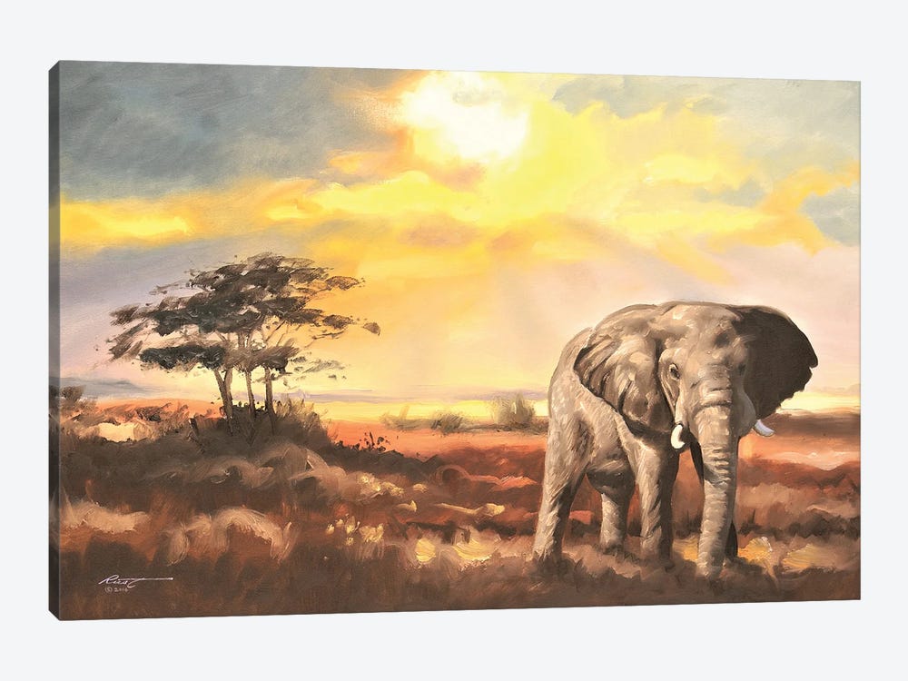 Elephant In The Sahara Desert by D. "Rusty" Rust 1-piece Art Print