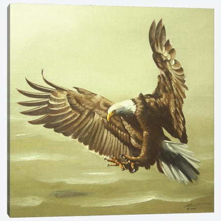 Eagle In For A Landing Canvas Print #RSR250} by D. "Rusty" Rust Canvas Artwork