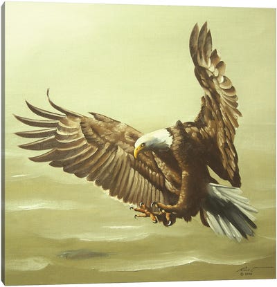 Eagle In For A Landing Canvas Art Print - Eagle Art