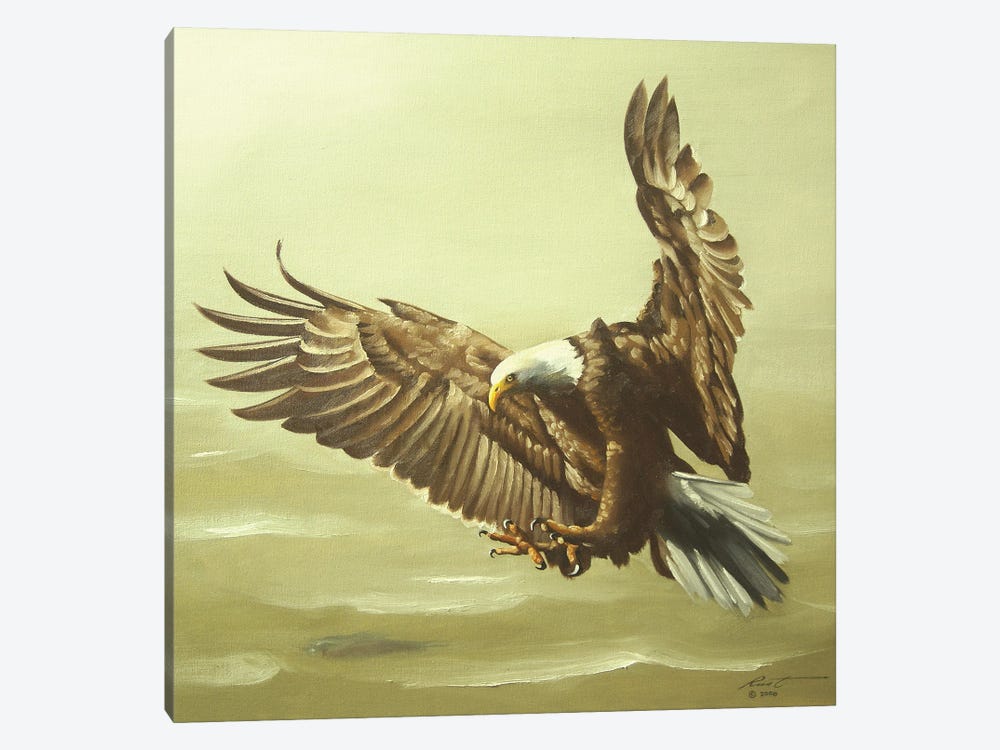 Eagle In For A Landing by D. "Rusty" Rust 1-piece Canvas Print