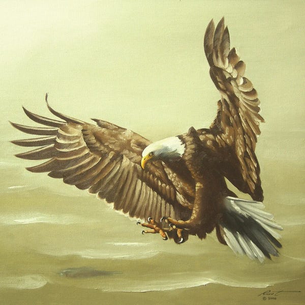 American Décor: Eagle In For A Landing by D. "Rusty" Rust