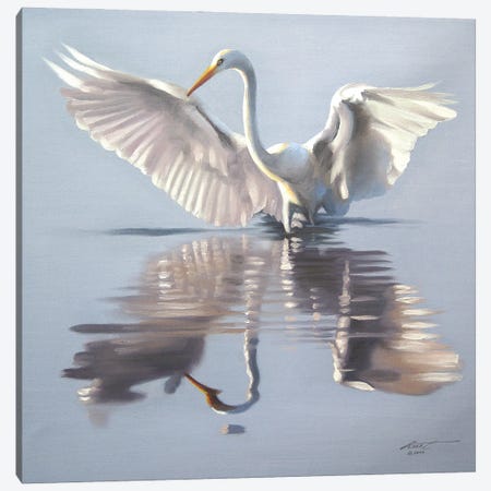 Snowy Egret Showing-Off In The Water Canvas Print #RSR251} by D. "Rusty" Rust Canvas Artwork