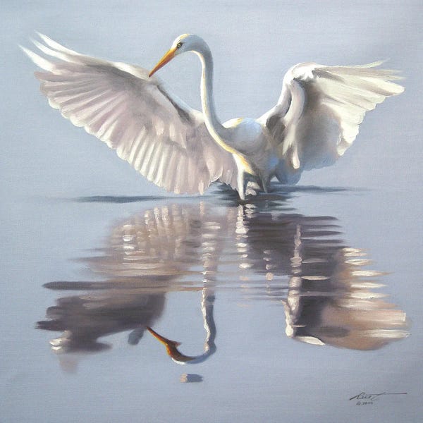 Egrets: Snowy Egret Showing-Off In The Water by D. "Rusty" Rust