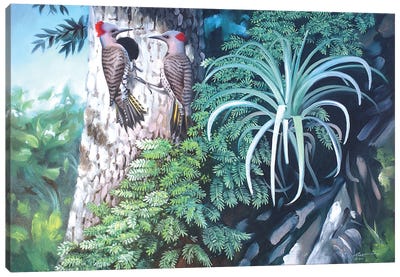 Two Flickers - Woodpeckers On A Tree Canvas Art Print - Woodpecker Art