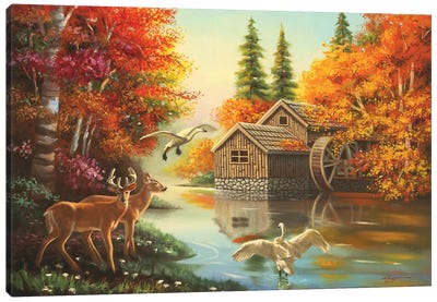 Mill Creek Wildlife Canvas Art Print - Watermill & Windmill Art