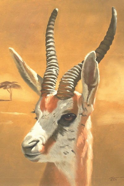 Gazelle by D. "Rusty" Rust canvas print
