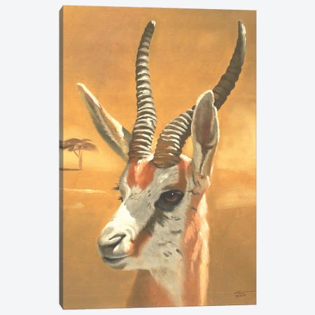 Gazelle Canvas Print #RSR260} by D. "Rusty" Rust Canvas Print