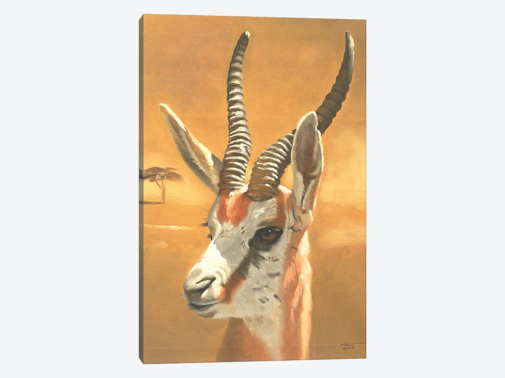 Gazelle by D. "Rusty" Rust 1-piece Canvas Artwork