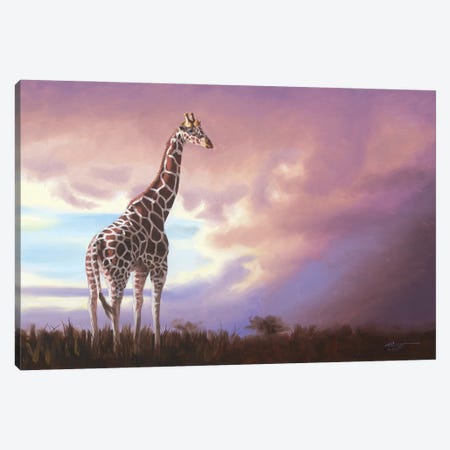 African Giraffe Canvas Print #RSR262} by D. "Rusty" Rust Art Print