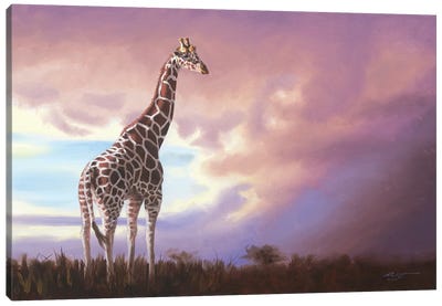 African Giraffe Canvas Art Print - D. "Rusty" Rust