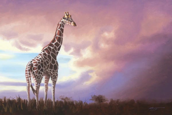 Africa: African Giraffe by D. "Rusty" Rust
