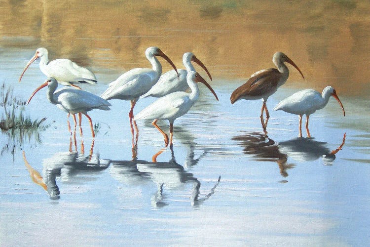 Ibises in the Marsh by D. "Rusty" Rust wall art