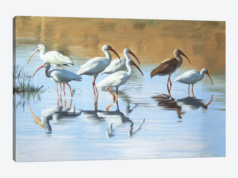 Ibises in the Marsh by D. "Rusty" Rust 1-piece Canvas Wall Art