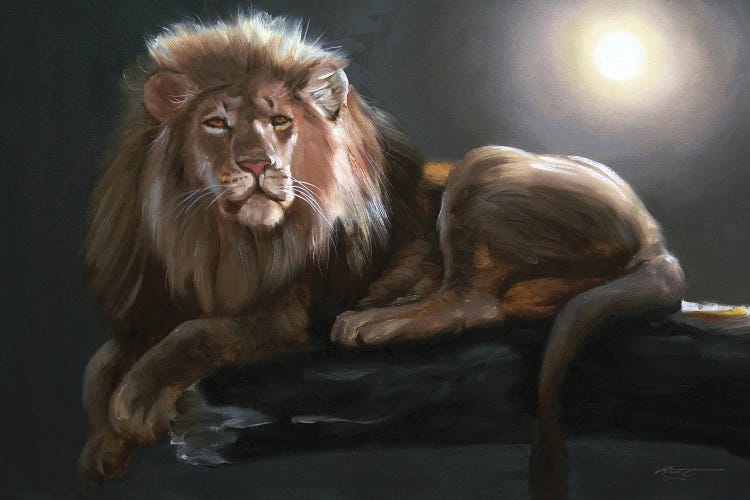 Lion Lounging in the Moonlight