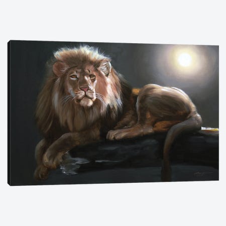 Lion Lounging in the Moonlight Canvas Print #RSR276} by D. "Rusty" Rust Canvas Print