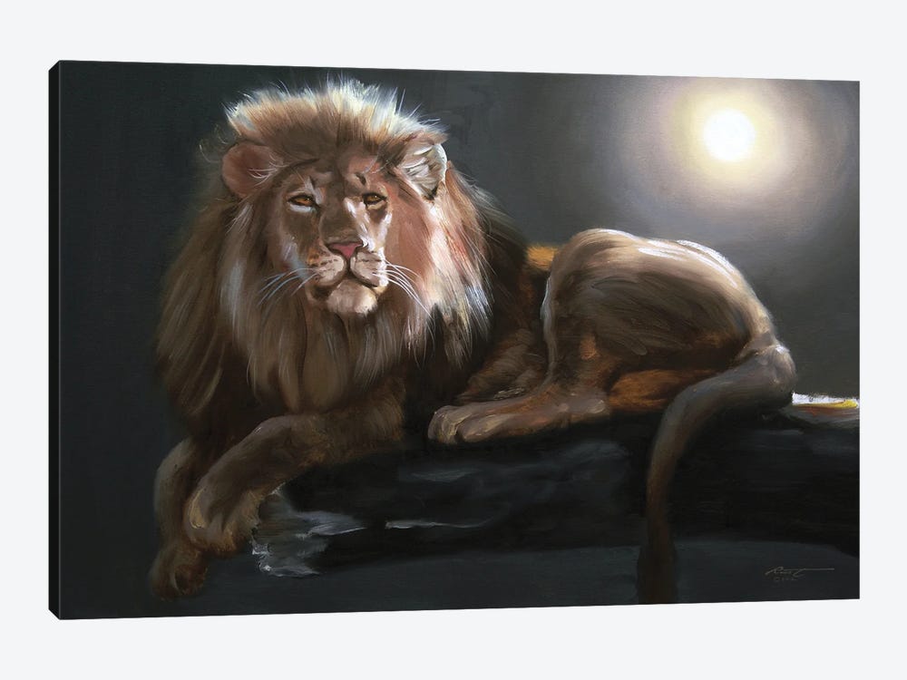 Lion Lounging in the Moonlight by D. "Rusty" Rust 1-piece Canvas Print