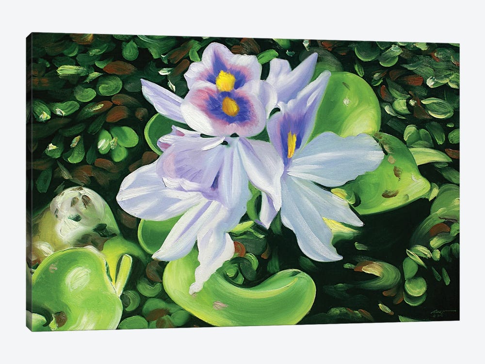 Hyacinths by D. "Rusty" Rust 1-piece Canvas Art
