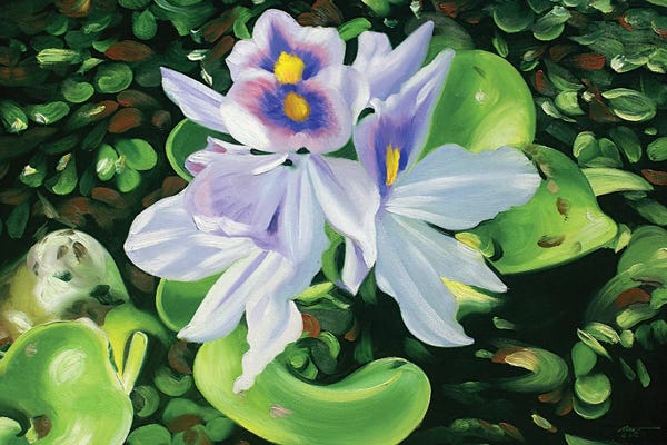 Hyacinths: Hyacinths by D. "Rusty" Rust