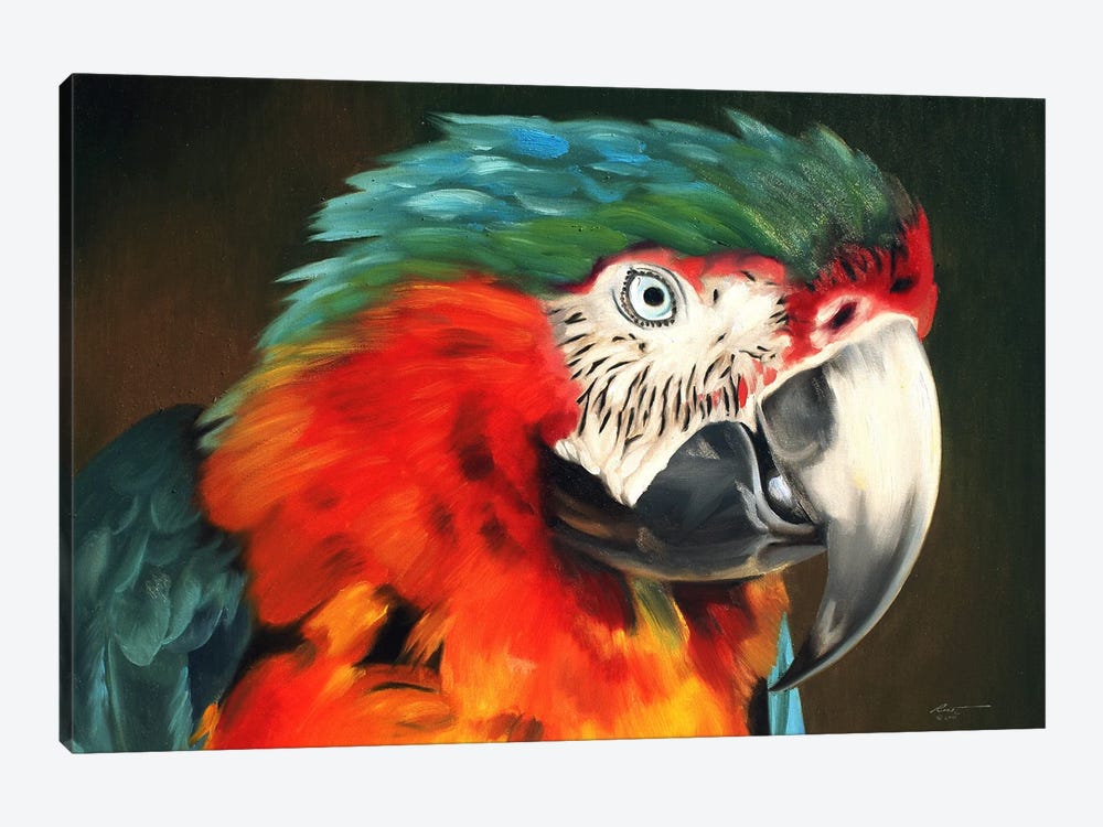 Macaw by D. "Rusty" Rust 1-piece Canvas Art Print