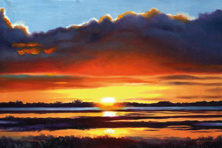 Gulf Coast Sunset by D. "Rusty" Rust wall art