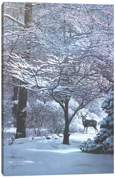Winter Dogwood Canvas Art Print