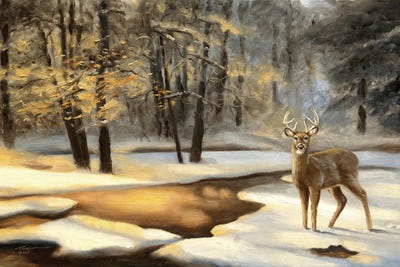 Buck By The Creek by D. "Rusty" Rust canvas print