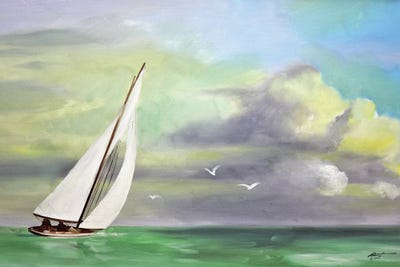 Sailing through the Wind by D. "Rusty" Rust canvas print