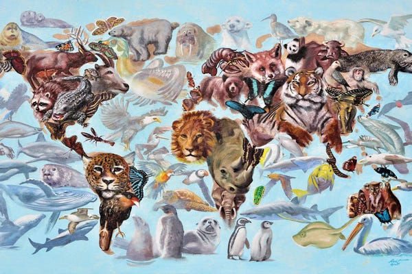 Rhinoceroses: Transformation - Illusion by D. "Rusty" Rust