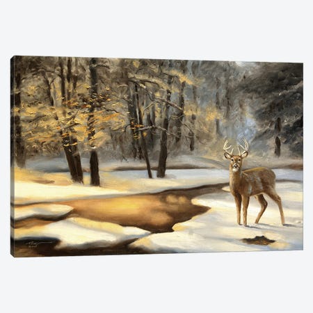 Buck By The Creek Canvas Print #RSR29} by D. "Rusty" Rust Canvas Wall Art