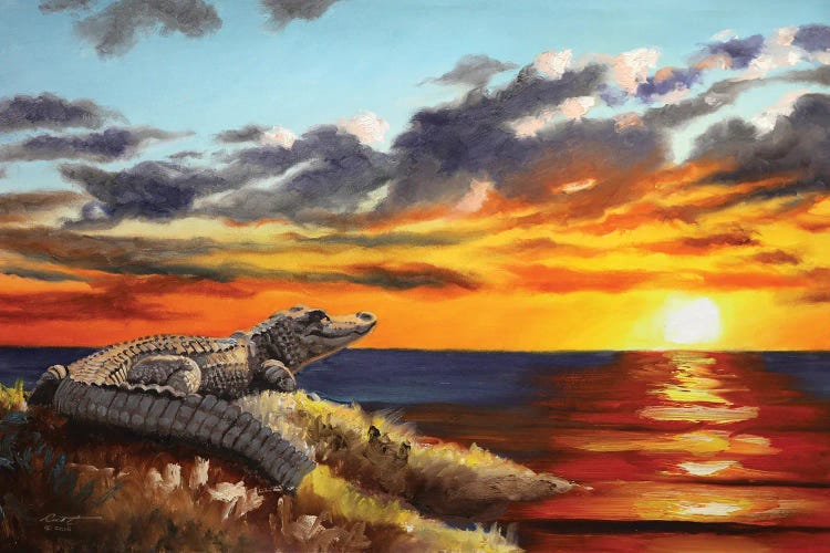 Alligator by D. "Rusty" Rust wall art