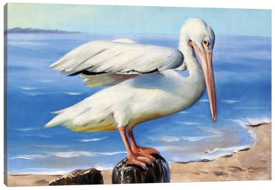 White Pelican on a Perch Canvas Art Print - Pelican Art