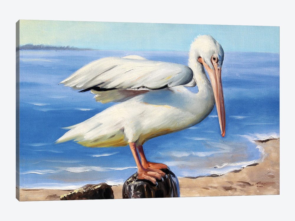 White Pelican on a Perch by D. "Rusty" Rust 1-piece Canvas Artwork