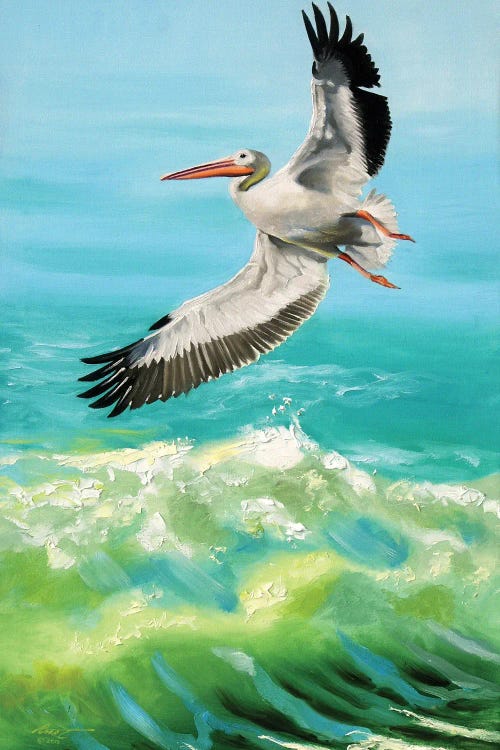 White Pelican on the Hunt