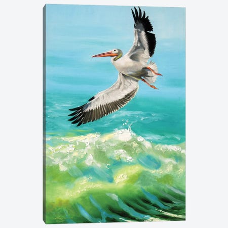 White Pelican on the Hunt Canvas Print #RSR304} by D. "Rusty" Rust Canvas Art Print
