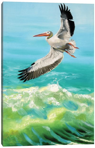 White Pelican on the Hunt Canvas Art Print - Pelican Art