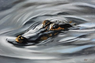 Alligator Out For Swim by D. "Rusty" Rust art print