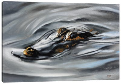 Alligator Out For Swim Canvas Art Print - Crocodile & Alligator Art