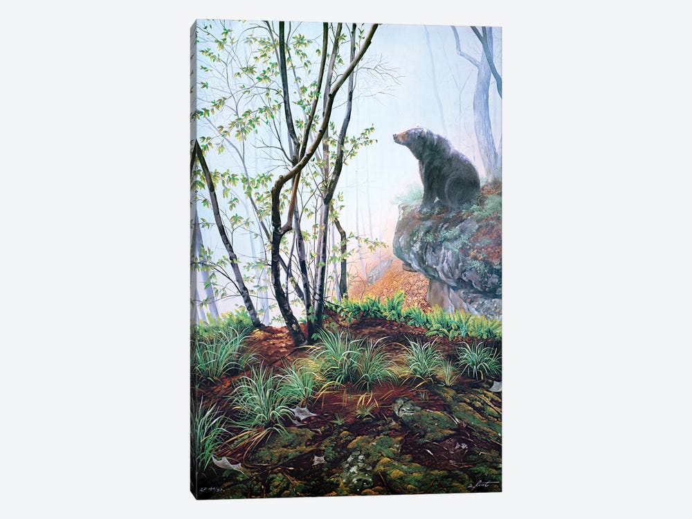 Black Bear On Rock Ledge In Early Spring by D. "Rusty" Rust 1-piece Canvas Artwork