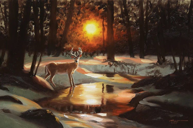 Deer At Sunset By The Creek