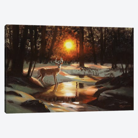 Deer At Sunset By The Creek Canvas Print #RSR31} by D. "Rusty" Rust Canvas Print