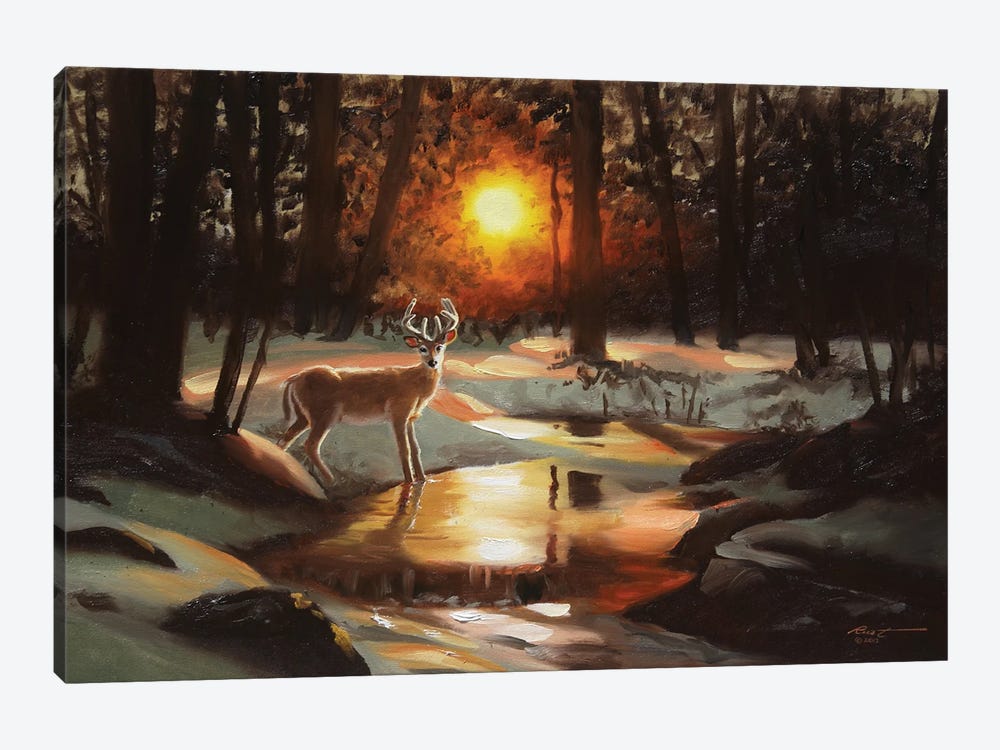 Deer At Sunset By The Creek by D. "Rusty" Rust 1-piece Art Print