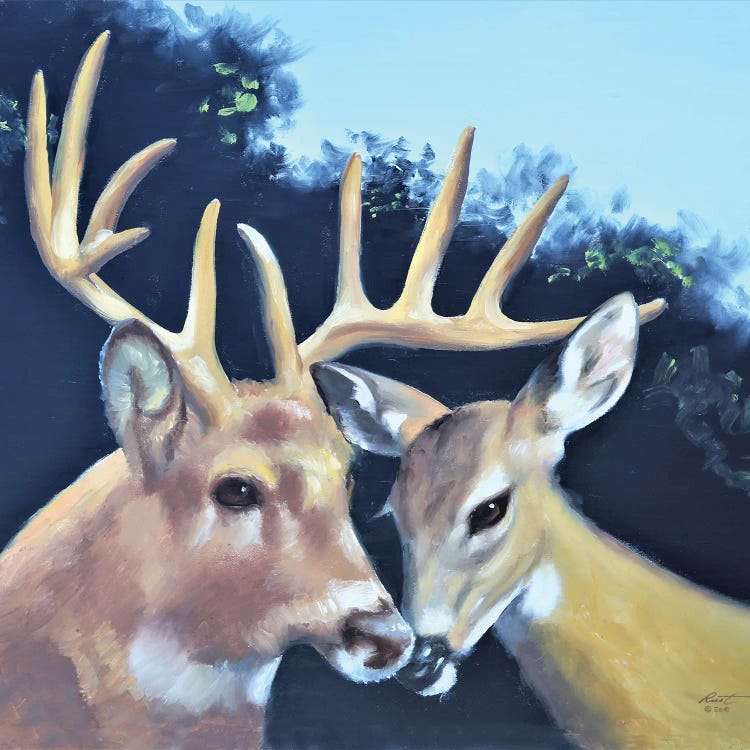 Buck And Doe