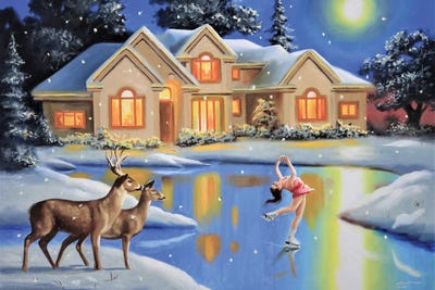 Triple - Skater by D. "Rusty" Rust framed canvas print