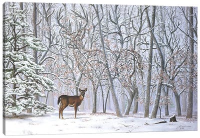 Big Buck - Illusion Canvas Art Print - Rustic Winter