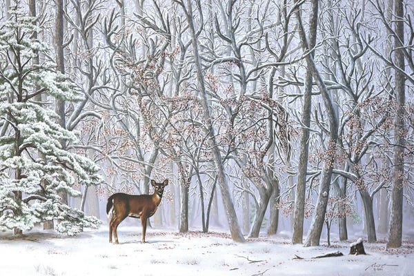 Rustic Winter: Big Buck - Illusion by D. "Rusty" Rust