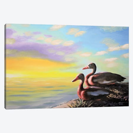 Whistling Ducks Watching The Sunset Canvas Print #RSR329} by D. "Rusty" Rust Canvas Artwork