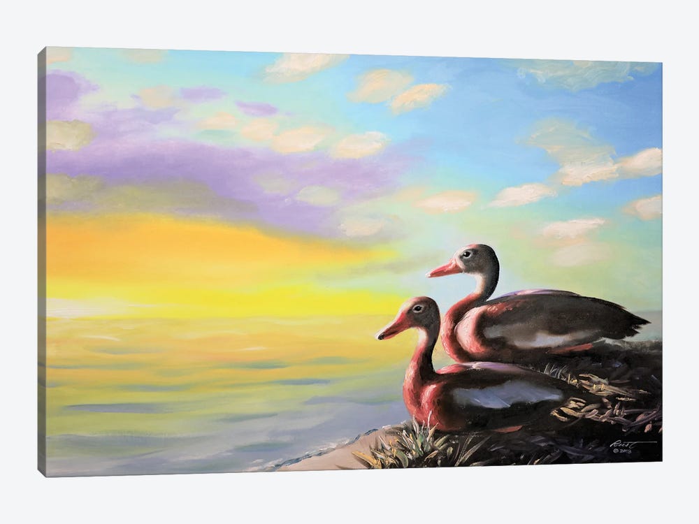 Whistling Ducks Watching The Sunset by D. "Rusty" Rust 1-piece Canvas Wall Art