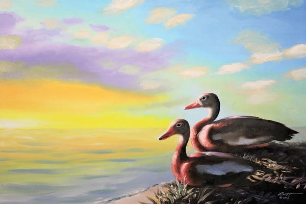 Whistling Ducks Watching The Sunset